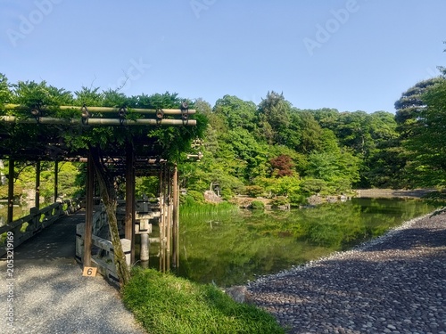 藤棚の橋が美しい日本庭園の池