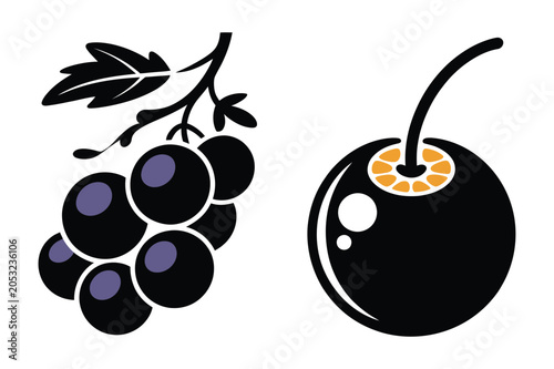 Photos Fresh blackcurrant berries and single cherry fruit flat vector illustration set