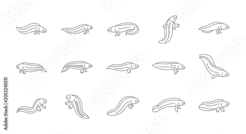 Tableau sur toile Line art illustrations of various axolotl poses and movements