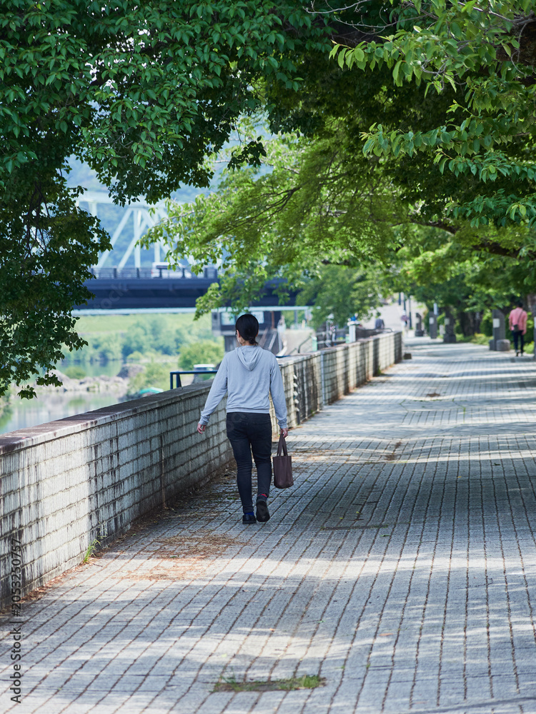 Fototapeta premium 初夏の朝の犬山市の木曽川遊歩道で歩く若い通勤中の女性の姿
