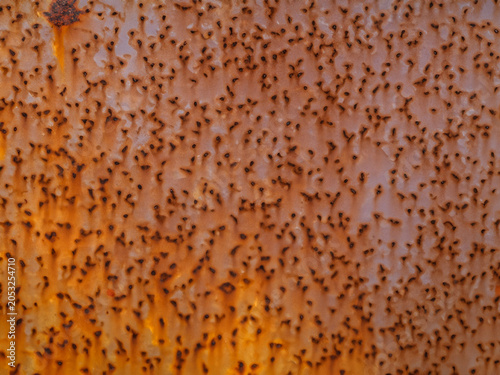 close up orange metal plate background
