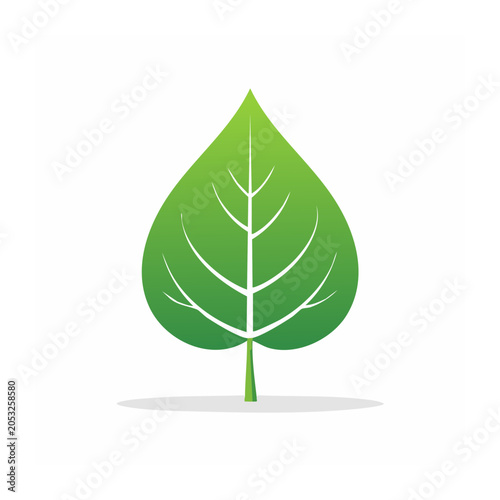 Green leaf icon with white veins on white background