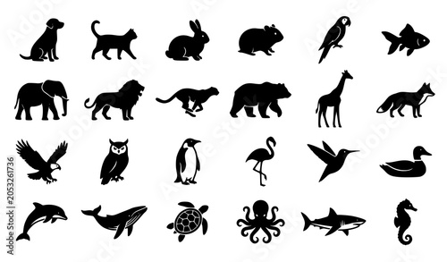 Photography Black animal silhouette icon vector assortment with mammals birds and wildlife s