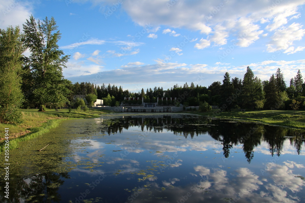 Fototapeta premium reflection of trees in lake