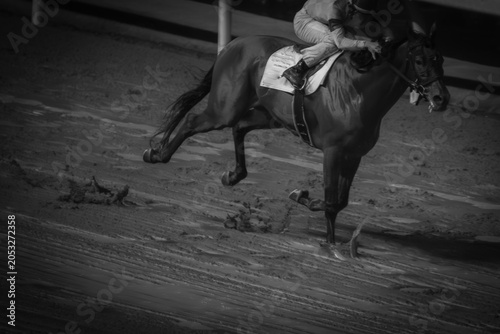 Foto 疾走する馬
