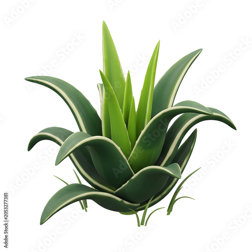 3D render of a green plant with white striped leaves