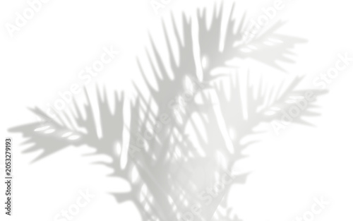 Soft shadow overlay of tropical palm leaves