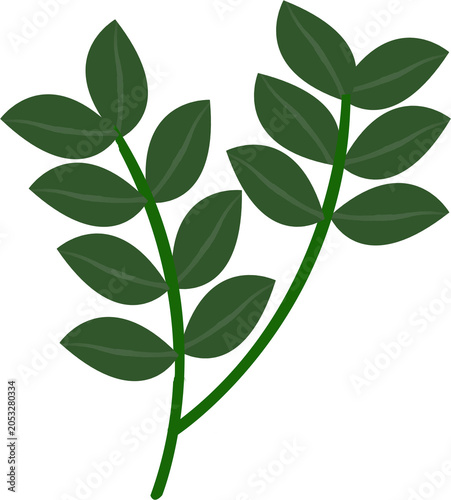 green leaves vector