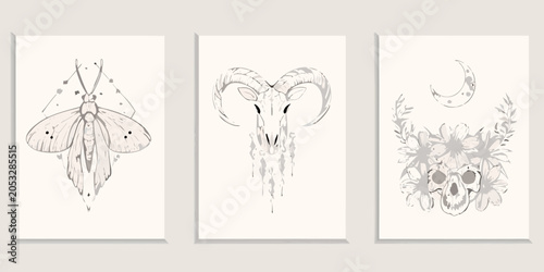Slika na platnu Boho style triptych featuring moth ram skull and floral skull illustrations