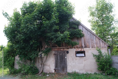Εκτύπωση καμβά Rural scenery of ruined building in Poleczyno village on Kashubia, Pomerania, Po