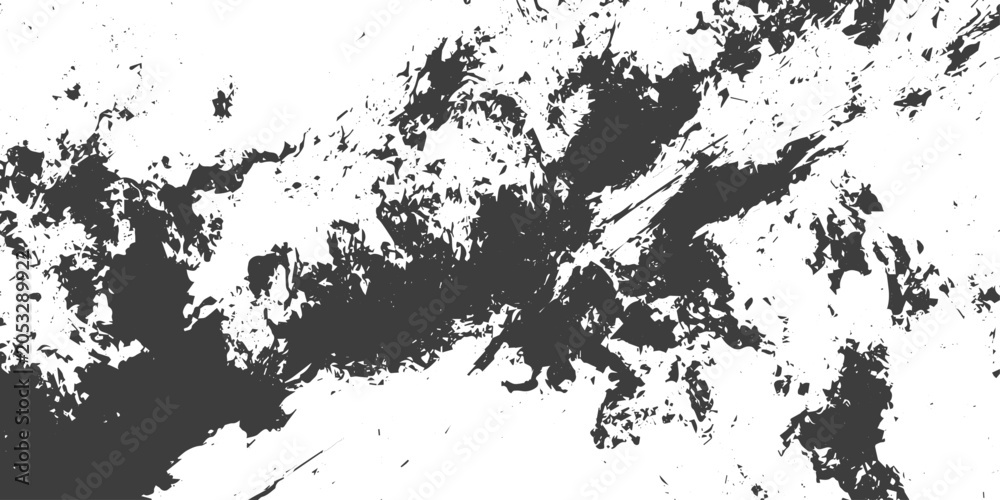 Fototapeta premium Black and White Grunge Texture Abstract Splatter Vector Background for Design
