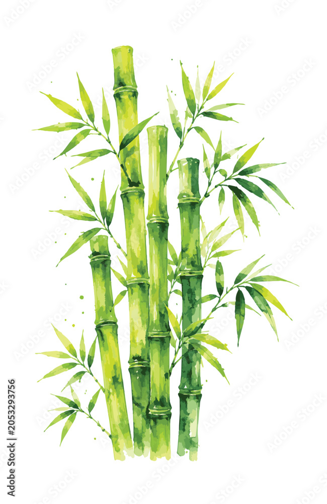 Fototapeta premium Vibrant watercolor painting of green bamboo stalks and leaves.