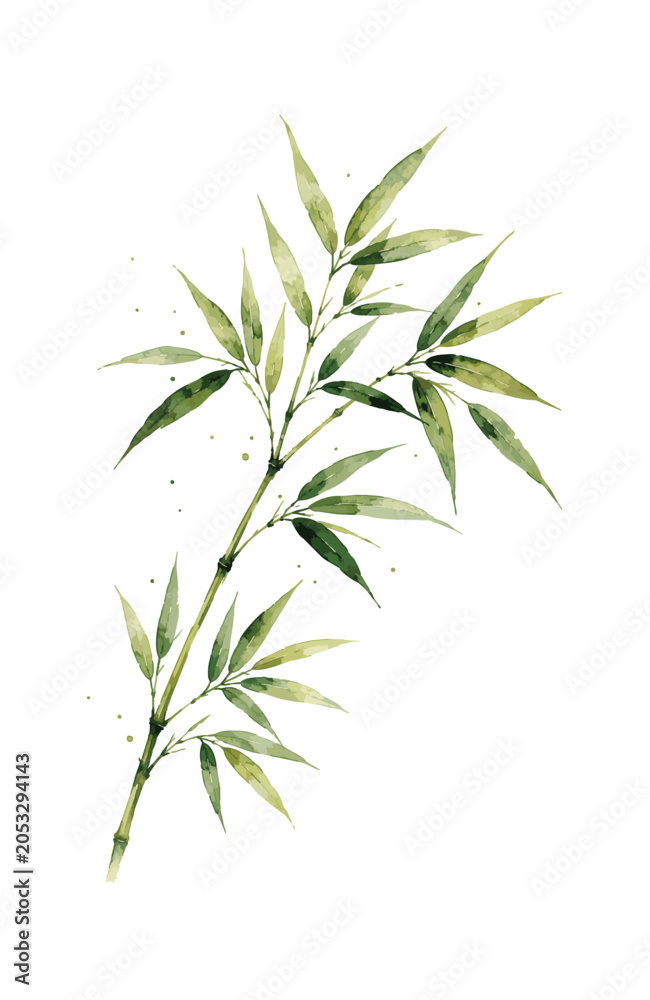 Obraz premium Watercolor painting of a single bamboo branch with green leaves.