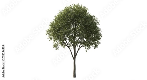 A computer-generated image of a healthy, lush green tree