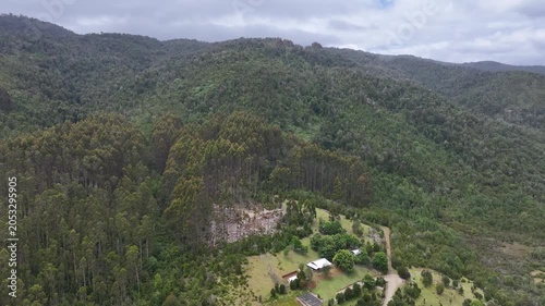 Árboles del sur de Chile 