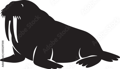 walrus vector