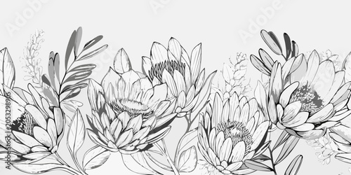 Protea floral arrangement grayscale vector illustration on a light background