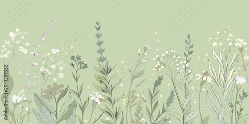 Obraz na plátně Wildflower collection soft painterly floral illustration on a pale green backgro