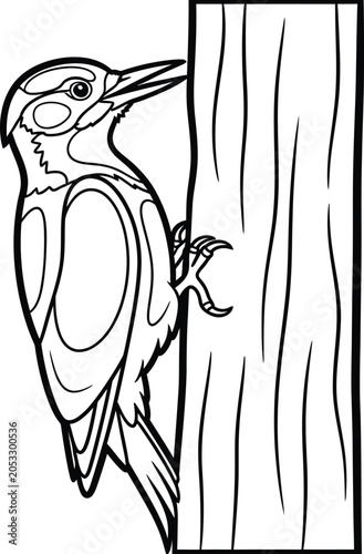 Foto Woodpecker clinging to a tree trunk