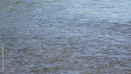 Surface of the Tama River Flowing Gently