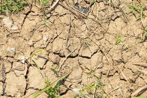 Quadro su tela Dry cracked soil, a common indicator of drought conditions