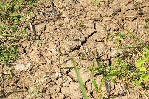 Schilderij op canvas Dry cracked soil, which is characteristic of drought conditions or arid soil