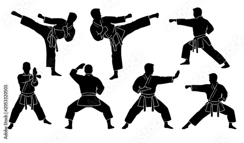 Obraz na plátně Karate Martial Arts Fighter Silhouette Collection with Kicks Punches and Combat