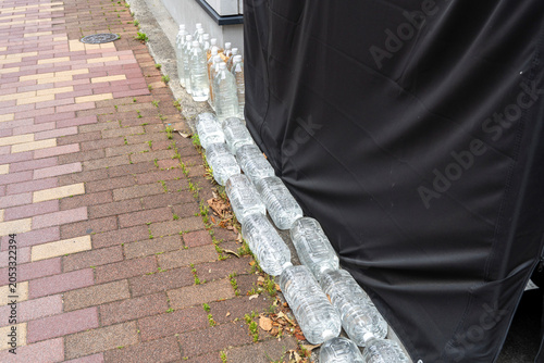 Canvas Print Plastic bottles lined up on the sidewalk to keep dogs and cats away