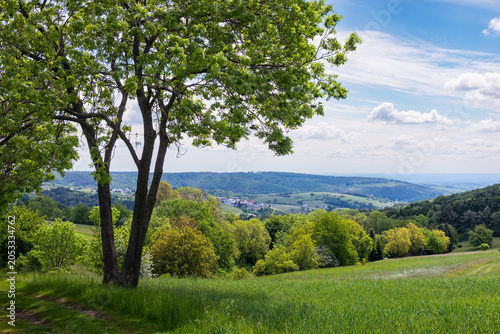 Bild auf Leinwand Beautiful spring landscape, sieggraben, burgenland