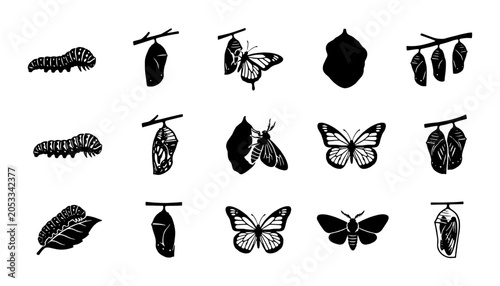 Cuadro en lienzo Butterfly life cycle silhouette icons, 15 nature metamorphosis vector elements,