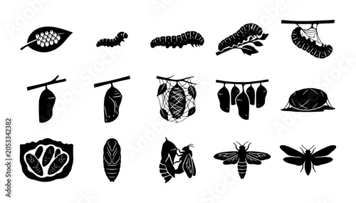 Fotografía Black butterfly life cycle icons, 15 insect metamorphosis vector elements, cater