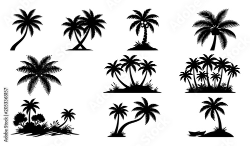 Black silhouette set of tropical palm trees in various shapes on white background