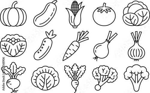 Photography Organic vegetable line icon set for healthy nutrition and farm market produce il
