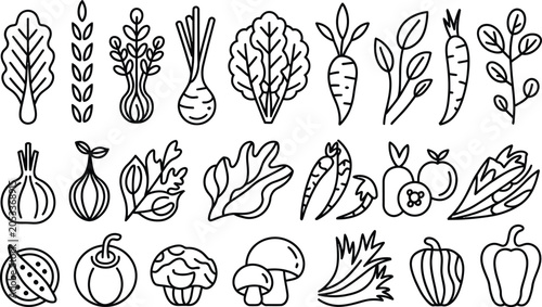 Fotografia Set of various fresh vegetables and organic produce outline icons with vegetable