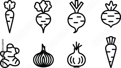 Fotografija Collection of root vegetables and bulbs outline icons with vegetable nutrition i
