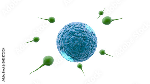 Fényképezés Multiple green sperm cells approaching a blue textured ovum, isolated on transpa