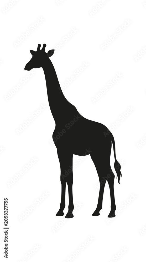 Fototapeta premium Silhouette of a Giraffe Standing Tall and Graceful.