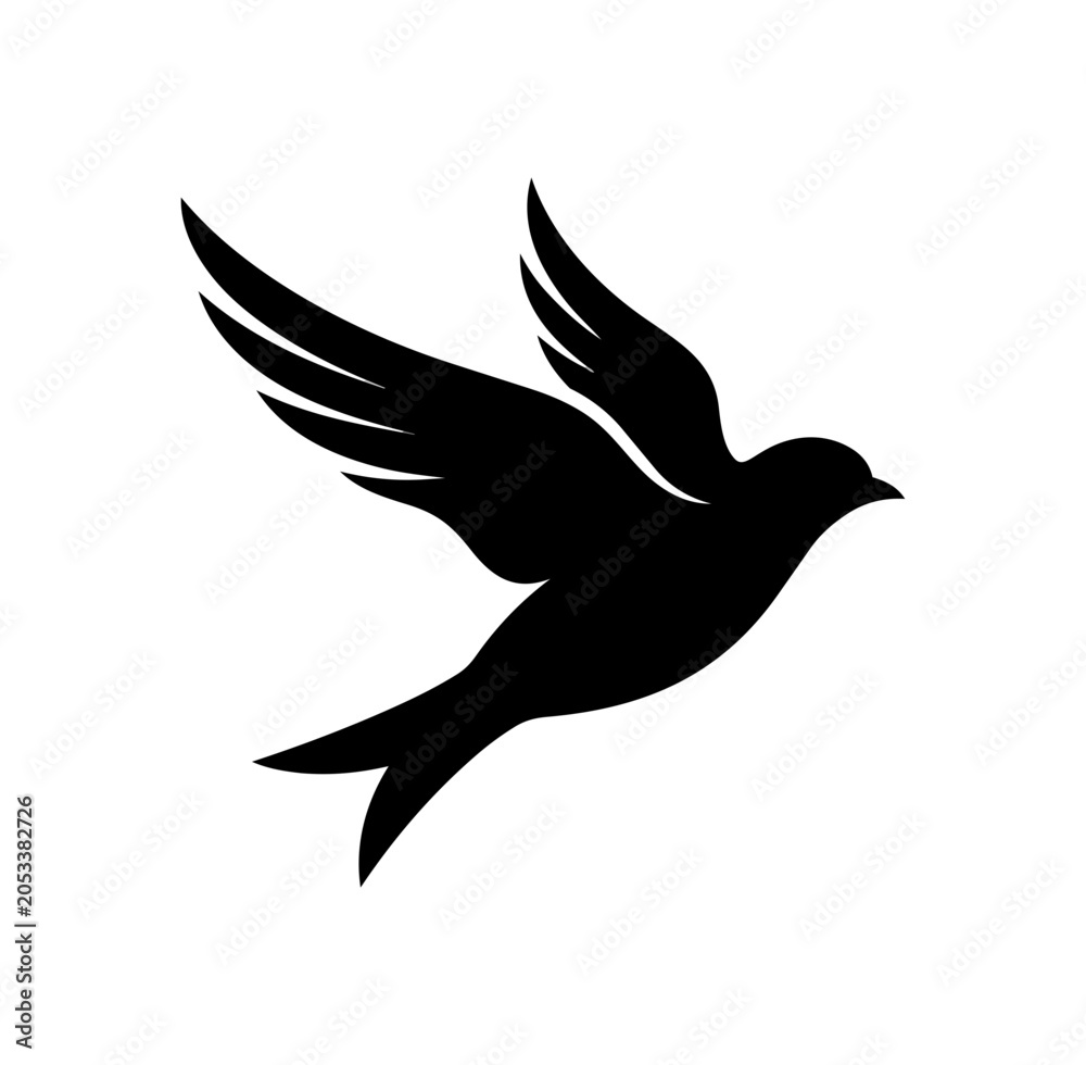 Fototapeta premium Silhouette of a bird in flight with wings spread.