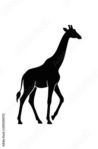 Silhouette of a Giraffe Walking Gracefully.