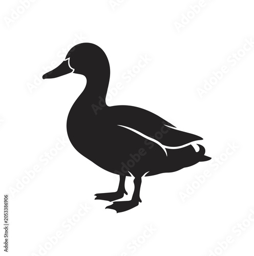 Silhouette of a Mallard Duck Standing Proudly.