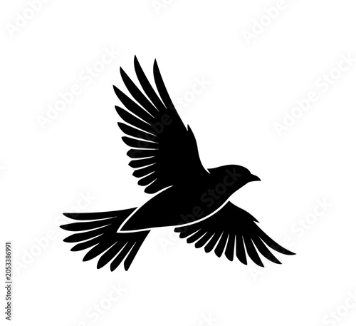 Silhouette of a Bird in Flight with Wings Spread Wide.