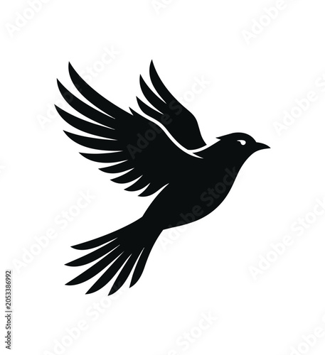Silhouette of a Bird in Flight.