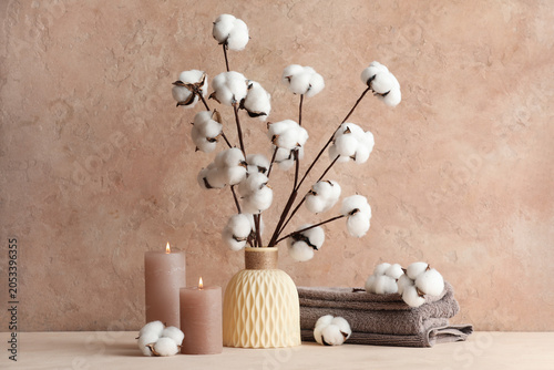 Natural cotton branches in ...