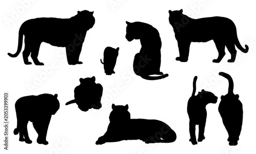 Tiger silhouette vector vector illustration set. Panthera tigris character black shape collection isolated on white background. Exotic wild big cat stencils, icons, signs for sports logo design