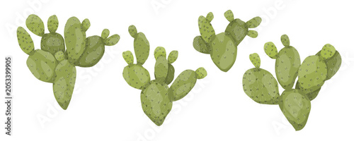 Prickly pear cactus vector illustration clipart set. Green opuntia succulent branches with thorns isolated on white background. Exotic desert plant collection for mexican food menu, cosmetic design