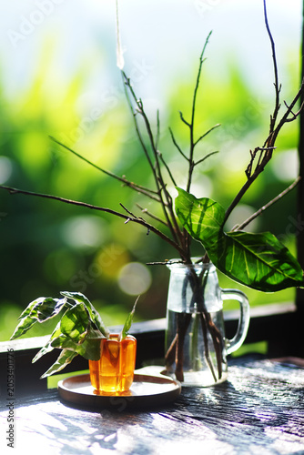 Beautiful fresh green plants and dry twigs branch in glass jar decorated on wooden table outdoor of terrace in natural sunlight