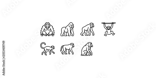 Photography Icon set collection of various primate species including monkeys, apes, and gorillas depicted in simple minimalist line style