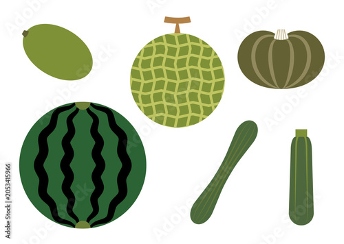 Foto Watermelon and Related Cucurbit Vegetables Illustration