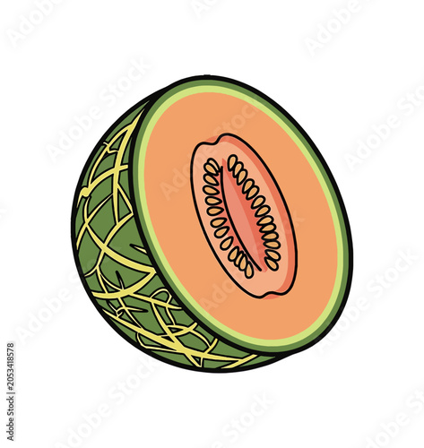 Fresh Cantaloupe Melon Slice With Seeds.