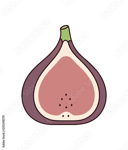 Fresh Ripe Fig Fruit Cut in Half Showing Seeds.